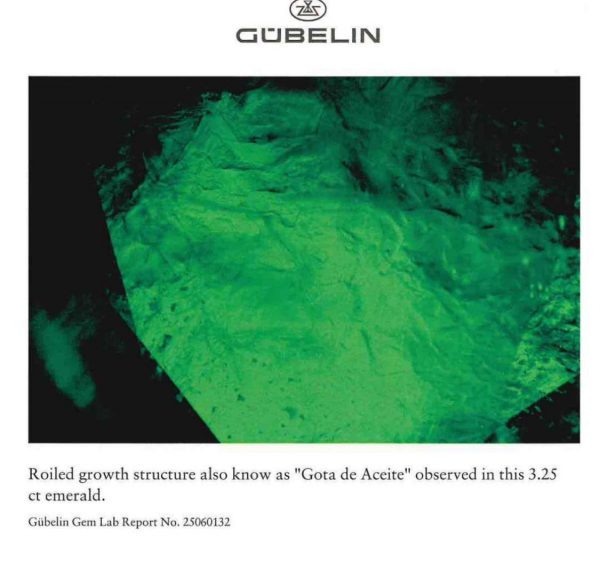 Alas de Mariposa - Gota de Aceite – Image 4